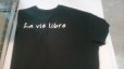 画像4: グランヂオ/衿ロゴＴシャツ（グリーン） (4)